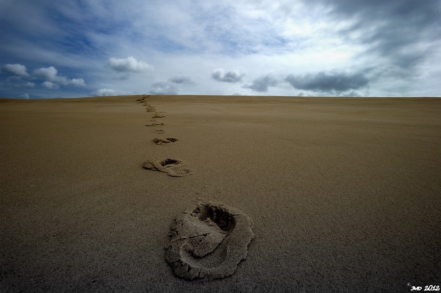 landes-03
