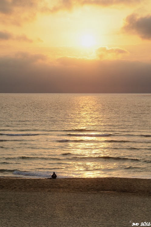 landes-05
