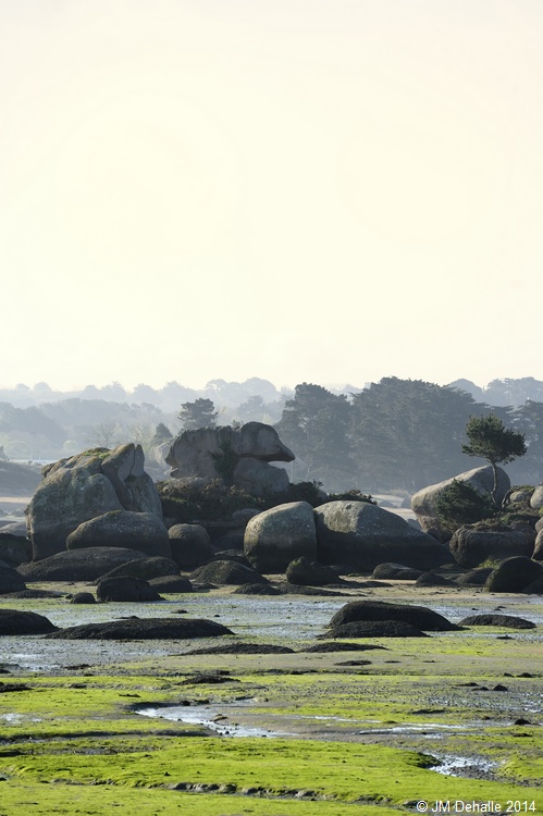 Bretagne #11