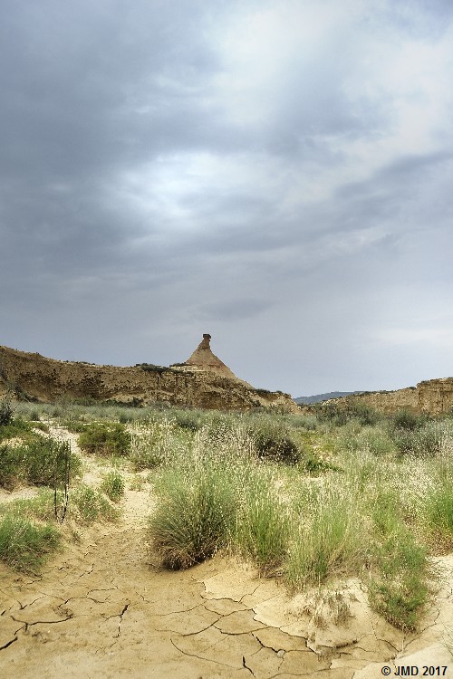 Bardenas #13