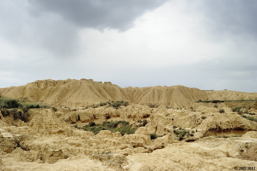 Bardenas #18