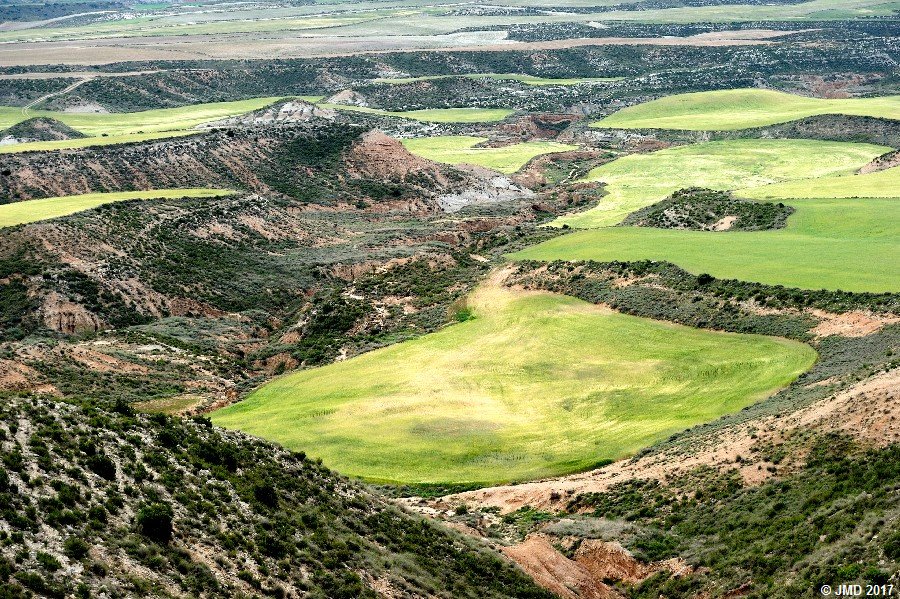 Bardenas #14