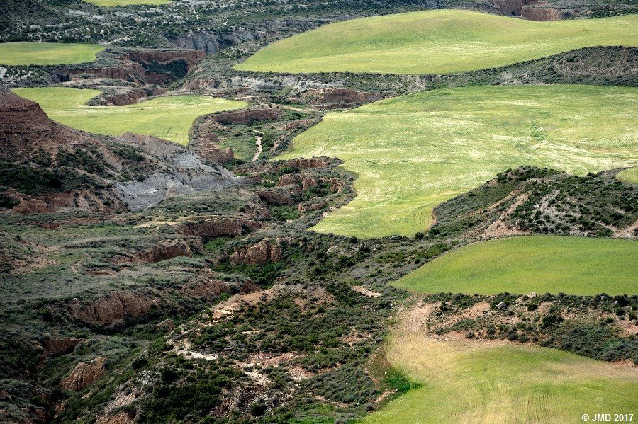 Bardenas #15