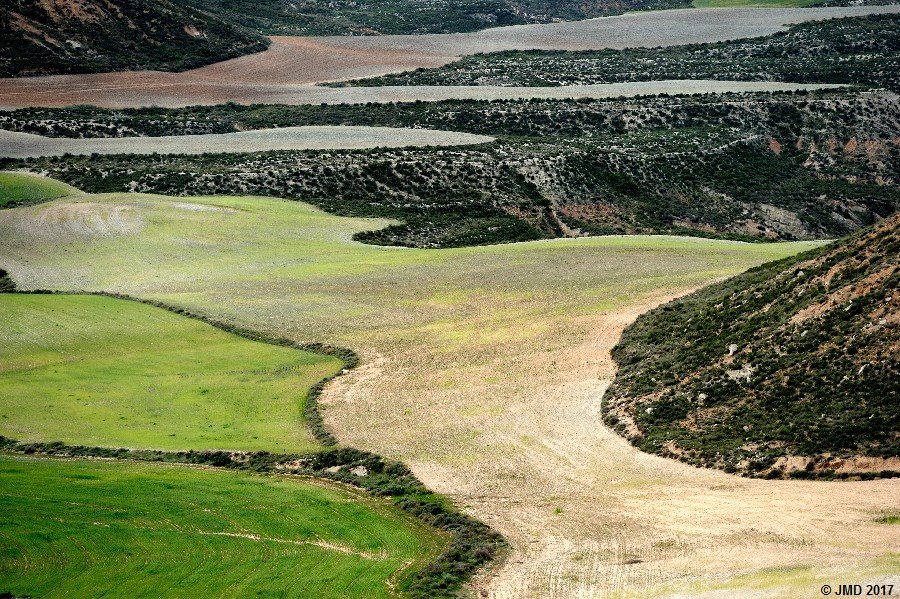 Bardenas #16