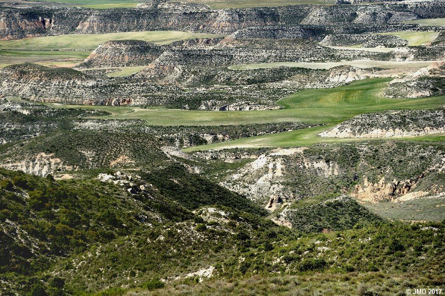 Bardenas #18