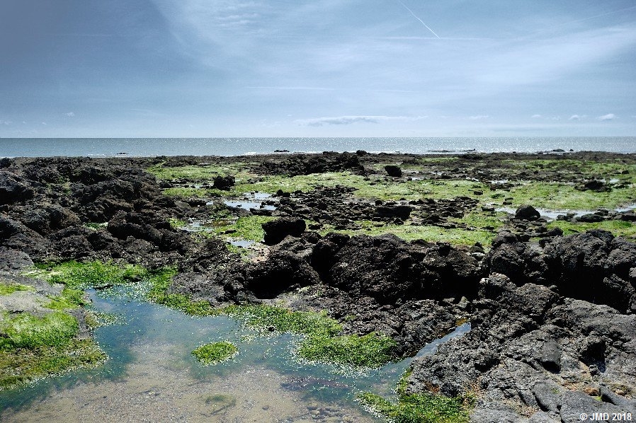 Noirmoutier #05