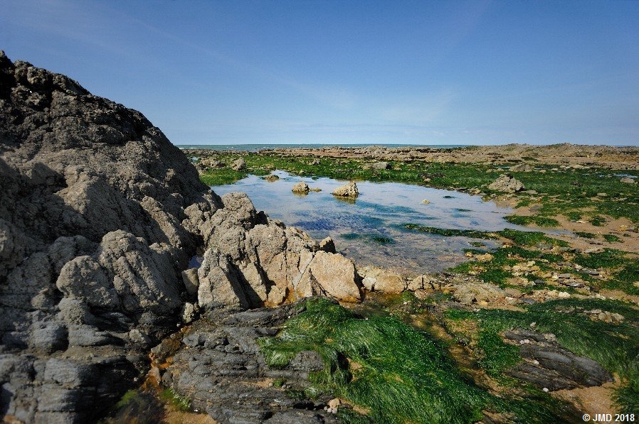 Noirmoutier #07