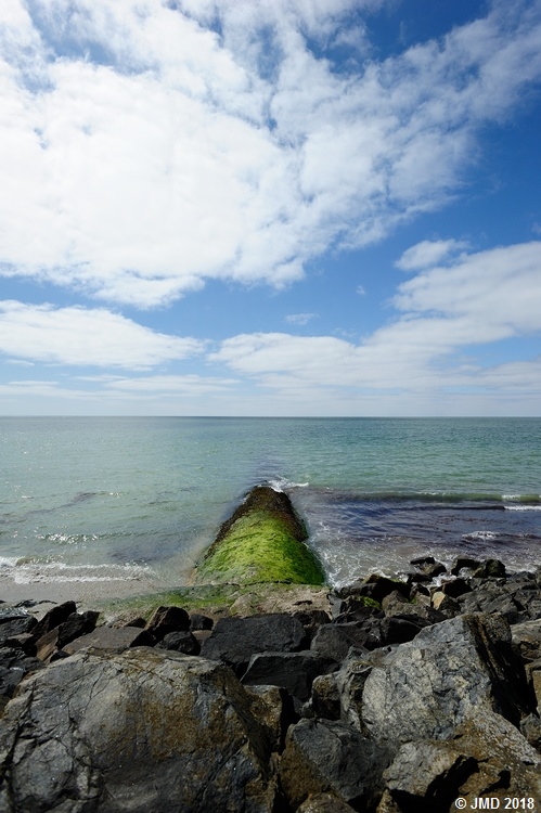 Noirmoutier #12