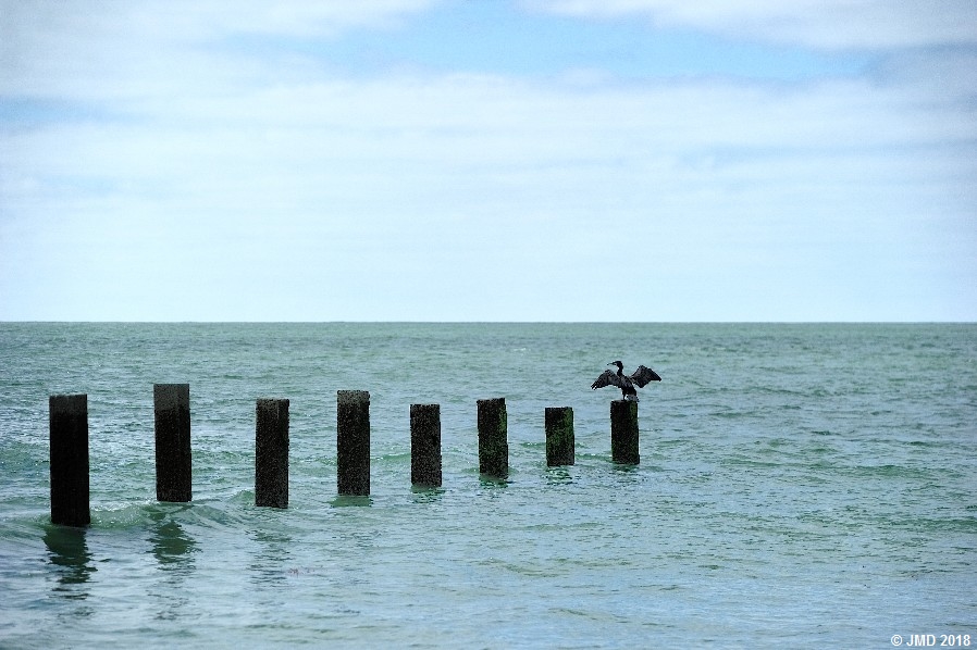 Noirmoutier #14