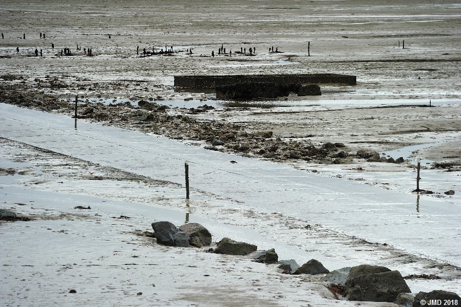 Noirmoutier #18