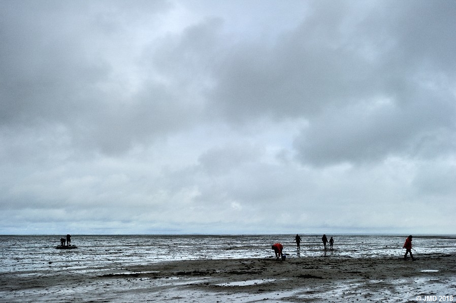 Noirmoutier #19