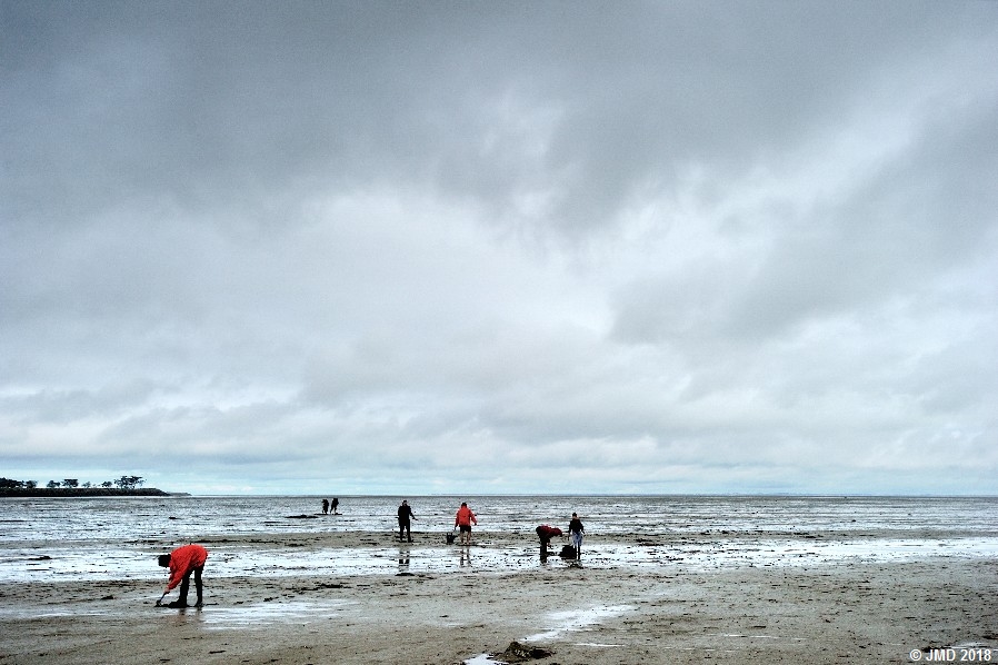 Noirmoutier #20