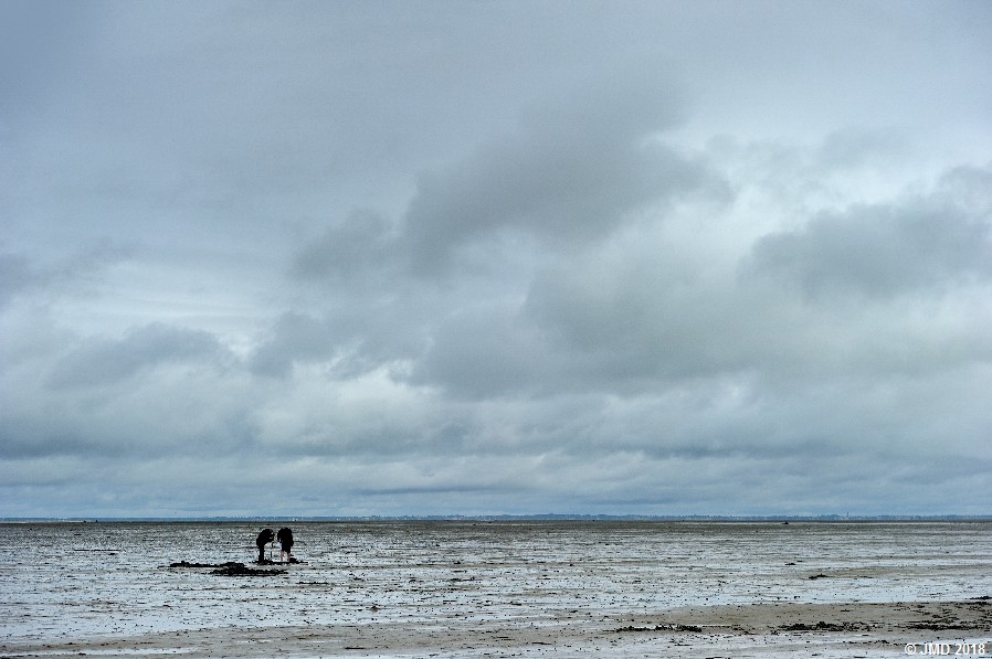 Noirmoutier #21