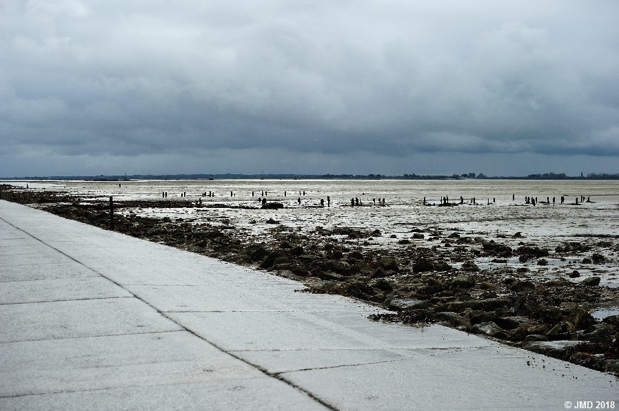 Noirmoutier #23